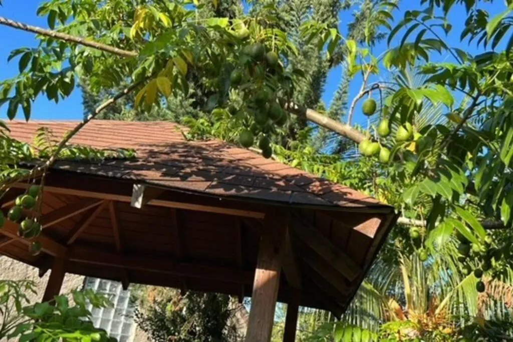 Slice Of Paradise location