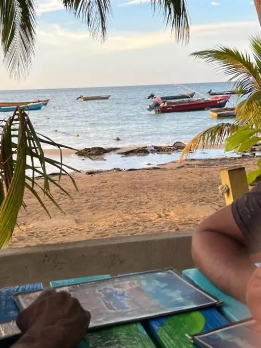 Villa Slice Of Paradise Ocho Rios